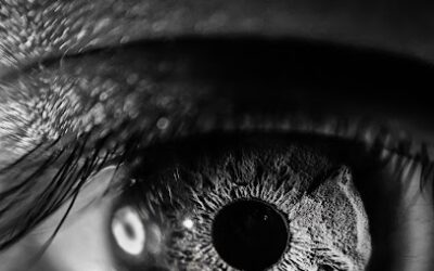 Nerf Guns & Their Risks (4/4)